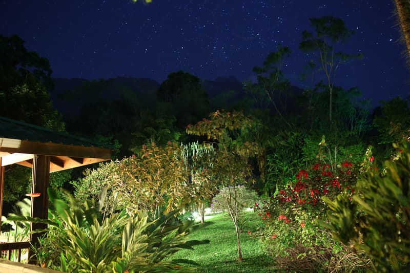 The Lodge At Pico Bonito 5