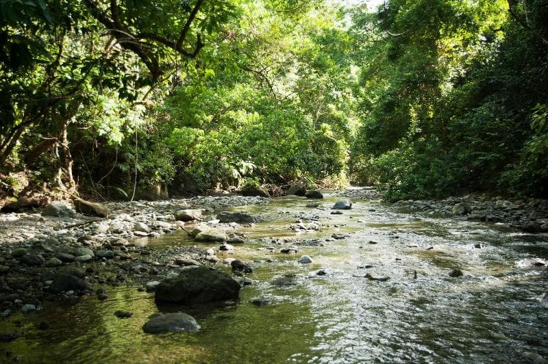 La Leona Eco Lodge 3