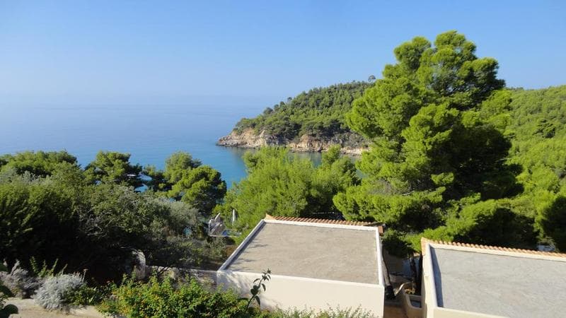 Alonissos Beach Bungalows & Suites Hotel 5