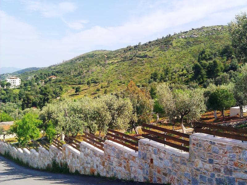 Villa Konaki main
