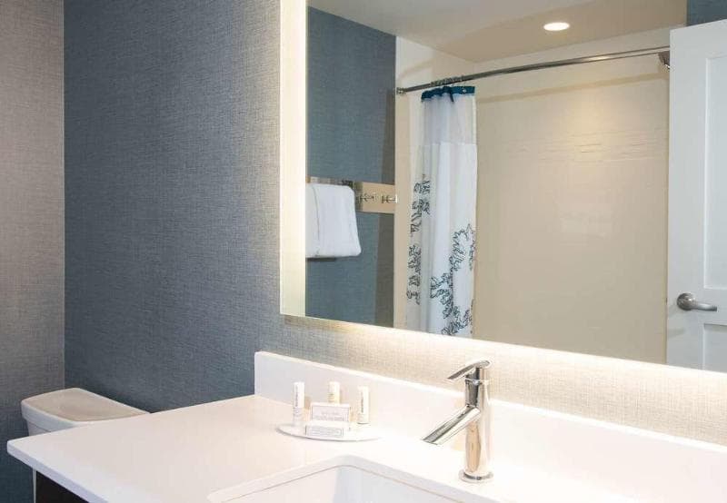 Residence Inn Ann Arbor Downtown 4