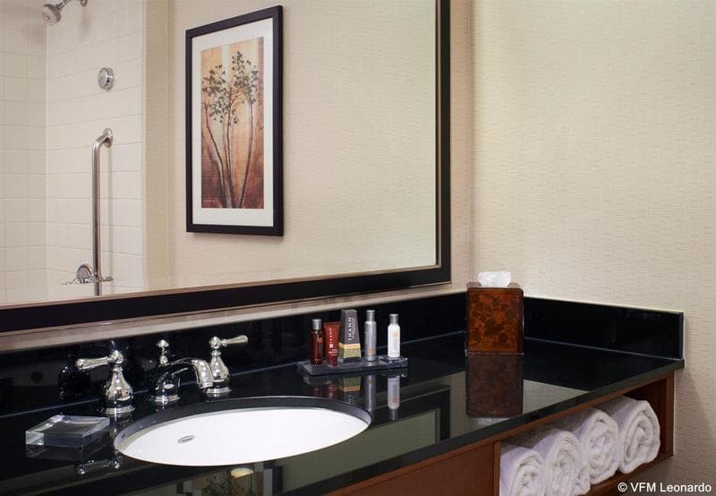 Detroit Metro Airport Marriott 5