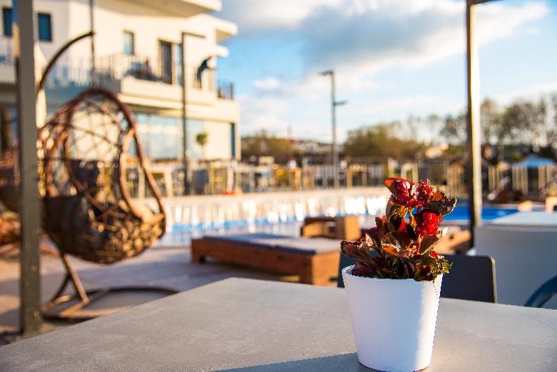 Elia Agia Marina Beach Hotel 4