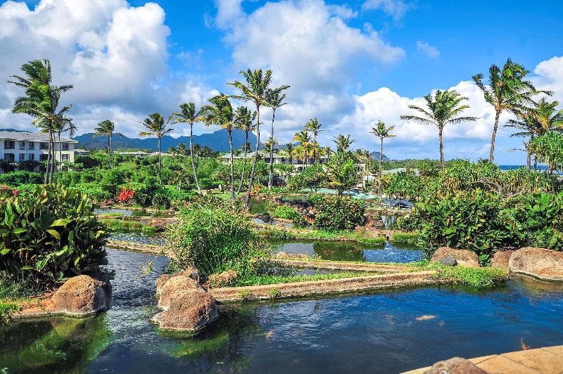 Hilton Vacation Club The Point at Poipu Kauai 3