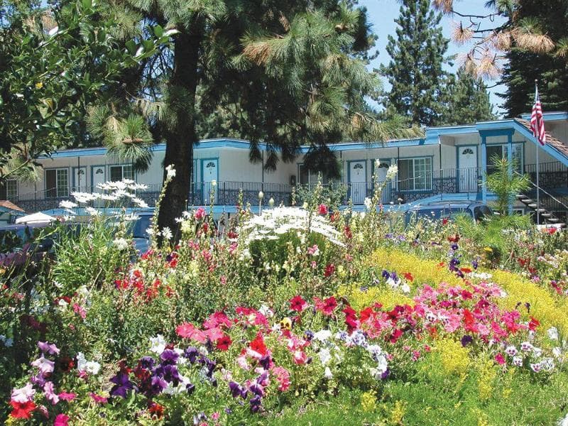 Americana Village 5