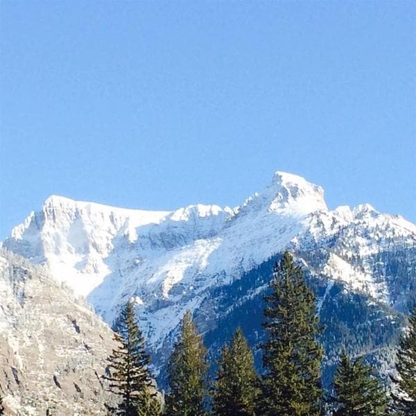 Meadow Lake Resort photo 1