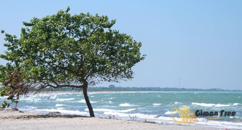Giman Free Beach Resort 5