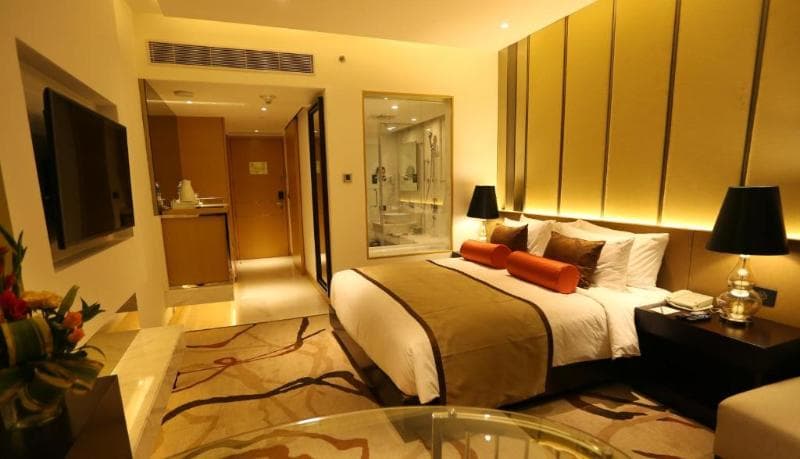 Pride Plaza Hotel Aerocity 4
