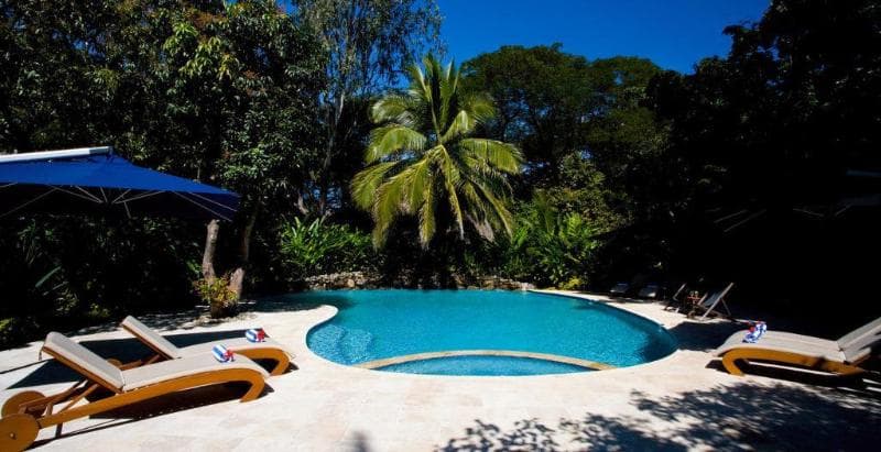 The Fiji Orchid (Adults Only) 2