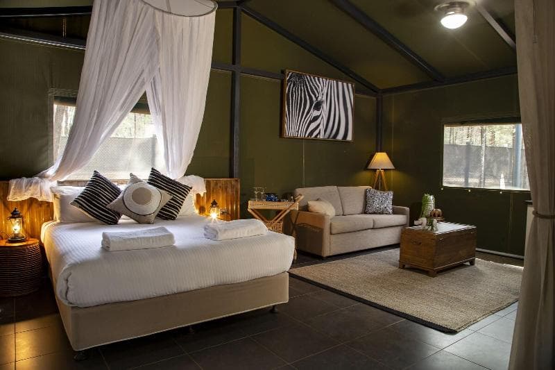 Zoofari Lodge 5
