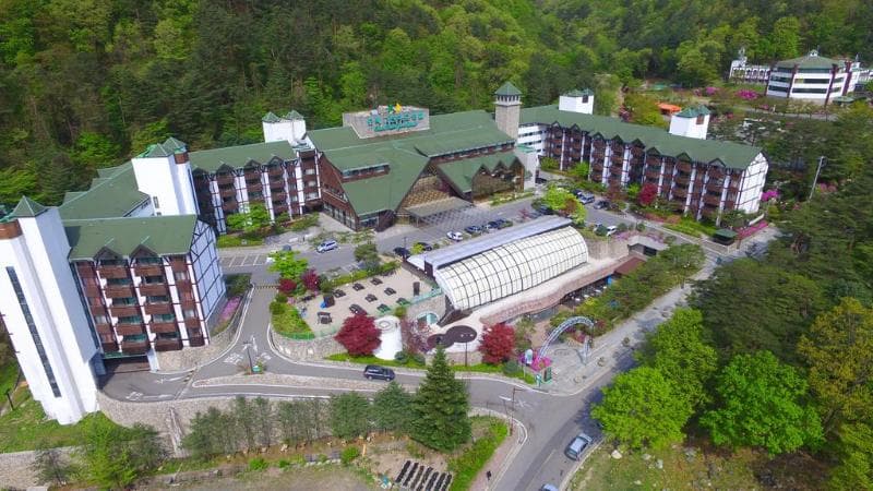 Osaek Greenyard Hotel main