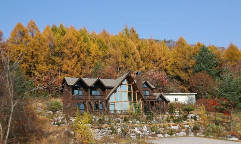 Chalet Resort 3