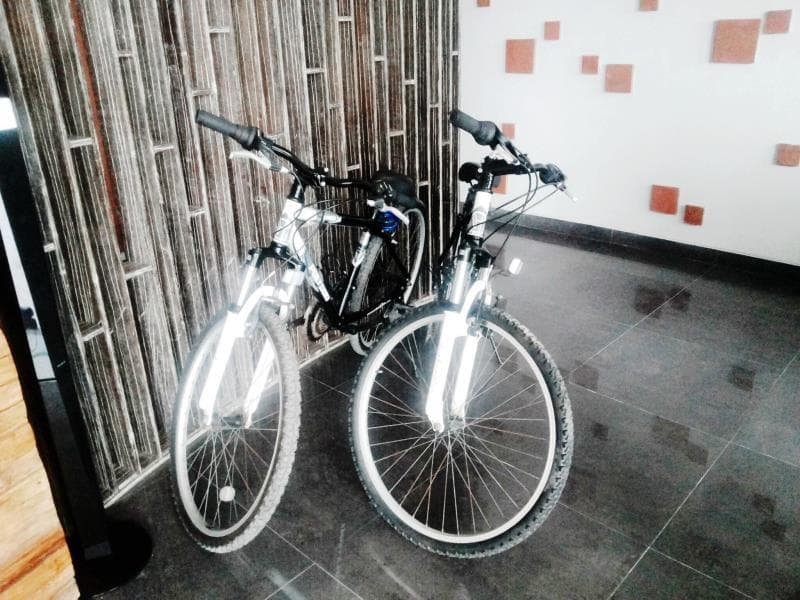 The Salak Hotel Bali photo 1