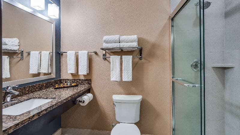 Best Western Plus Lake Jackson Inn & Suites 5