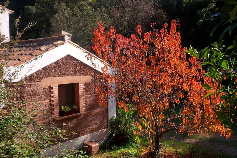 Casa Das Cercas 5