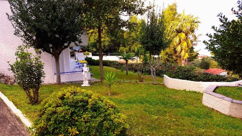 Roditsa Patritsia 4