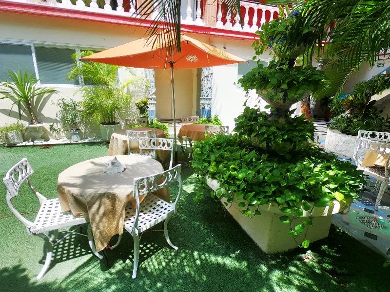 Hotel Jungla Caribe - Adults Only 5