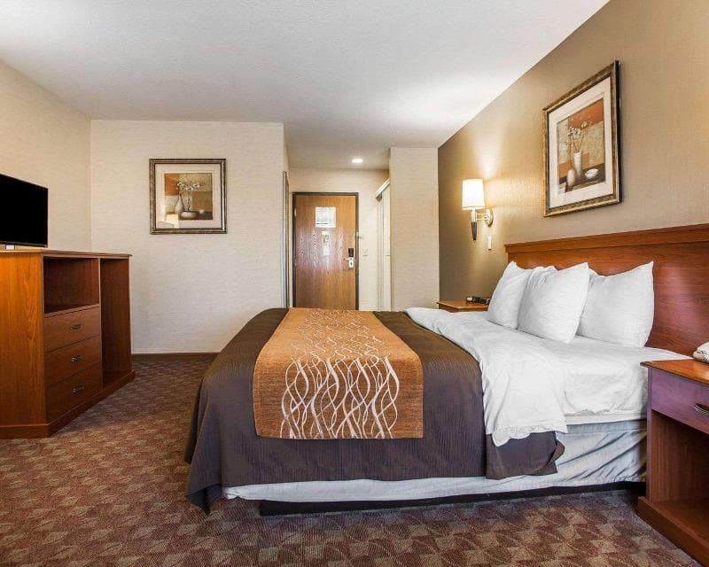 Comfort Inn 5