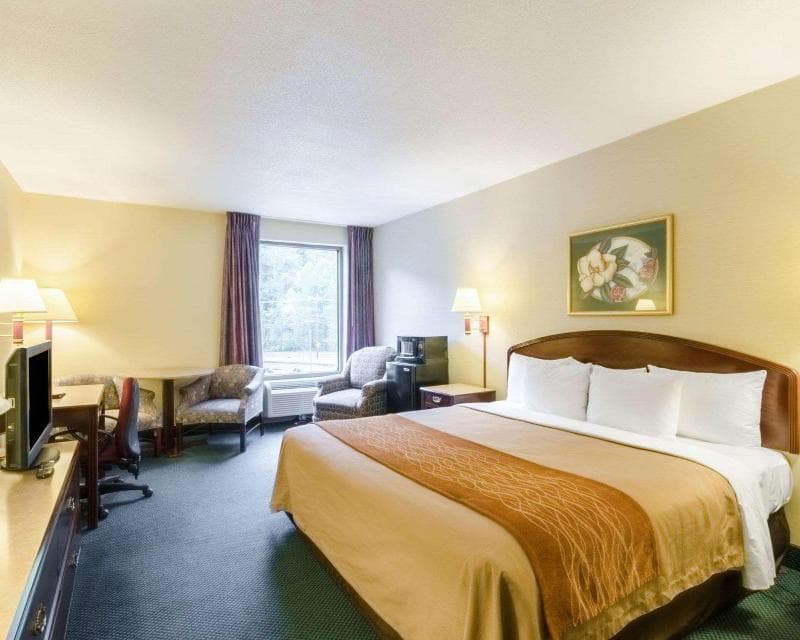 Comfort Inn Grundy 5