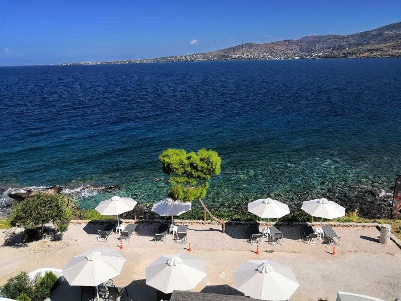 Perdika Mare Aegina photo 1