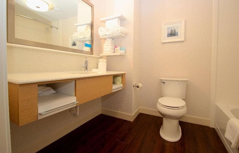 Hampton Inn Suffolk 5