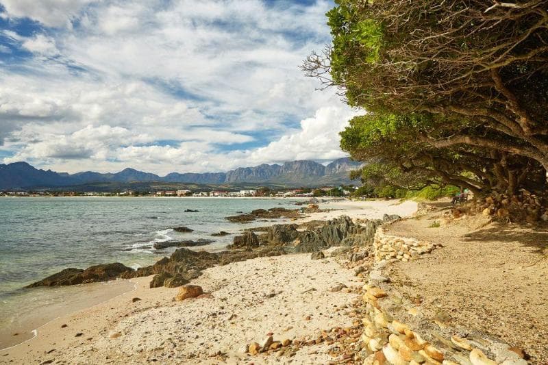 Cape Gordonia photo 1