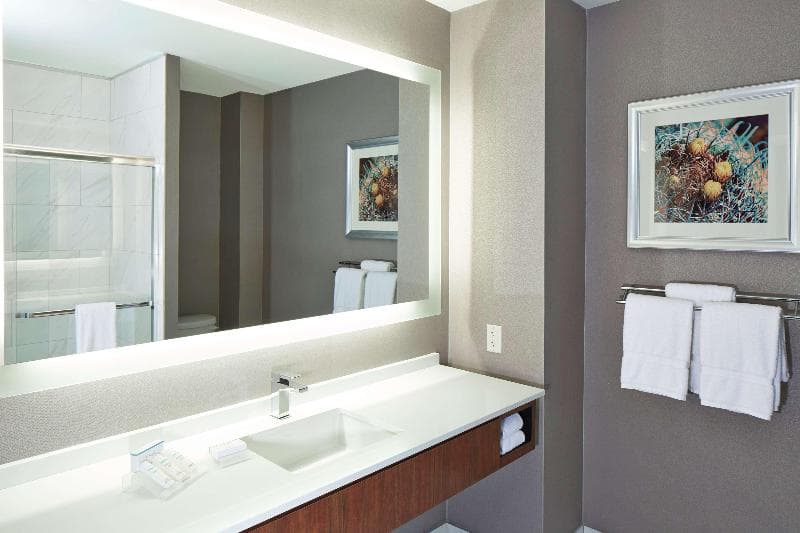 Hilton Garden Inn Phoenix Downtown 5