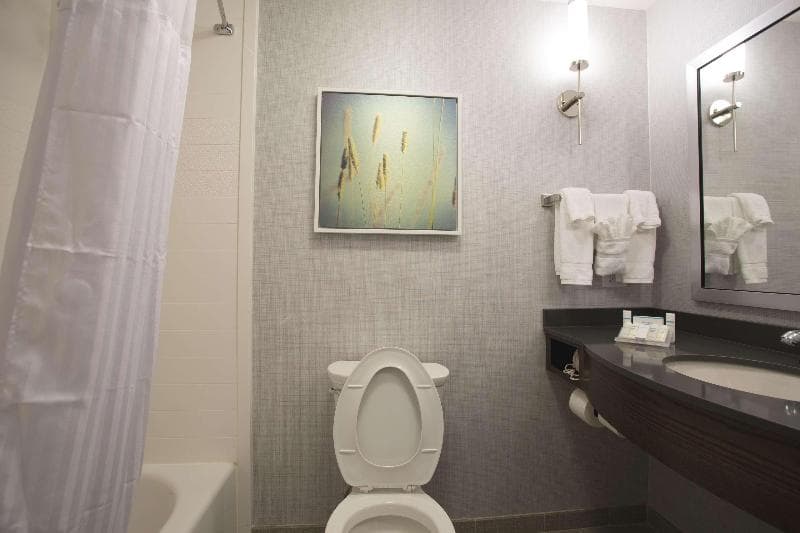 Hilton Garden Inn Bolingbrook I-55 4