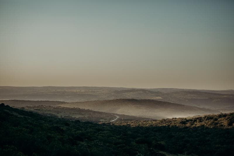 Bukela Game Lodge (Adults Only) 4