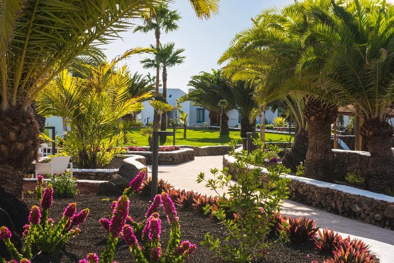 Elba Premium Suites - Adults Only 4