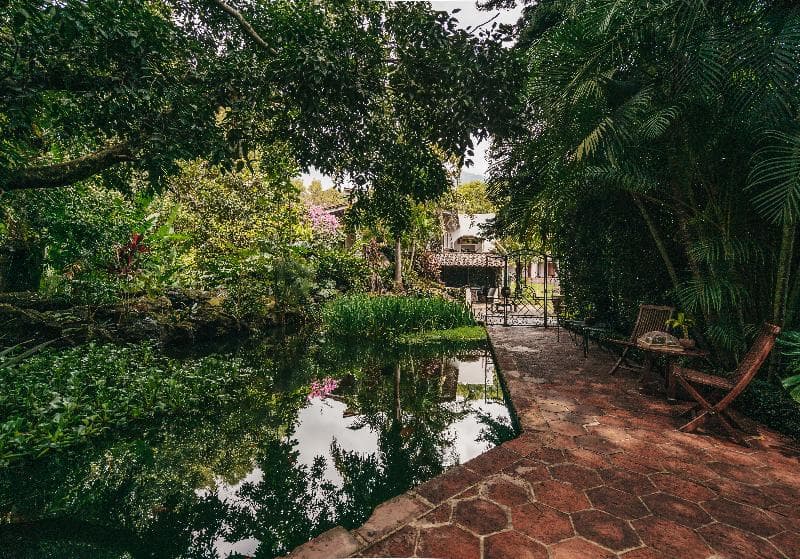 Hotel Amomoxtli 2