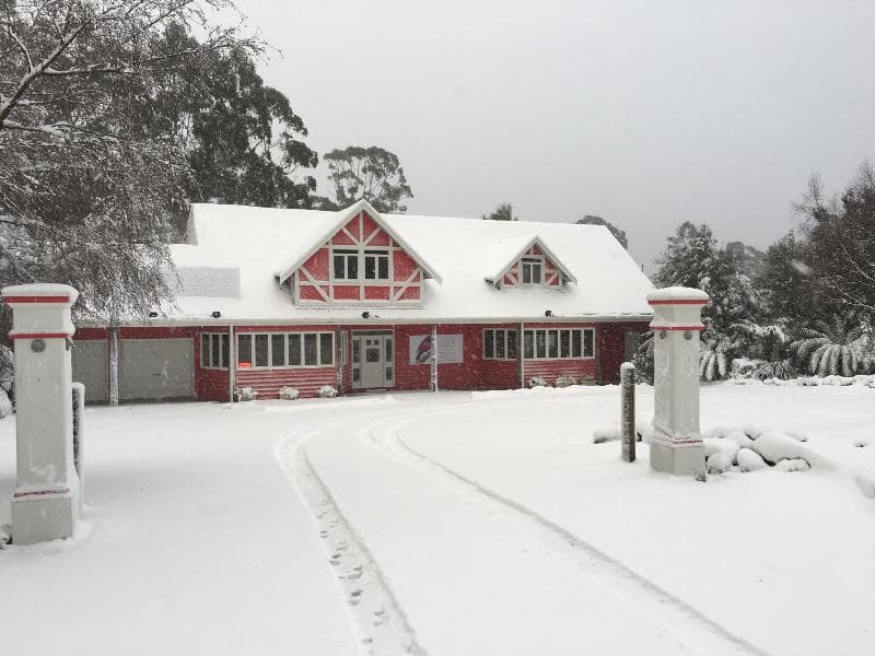 Cradle Forest Inn 3