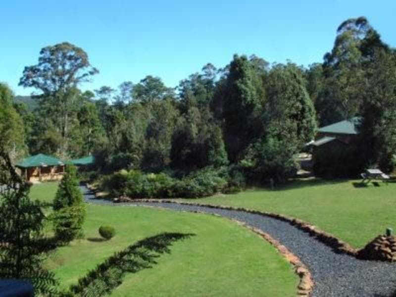 Cradle Forest Inn 5