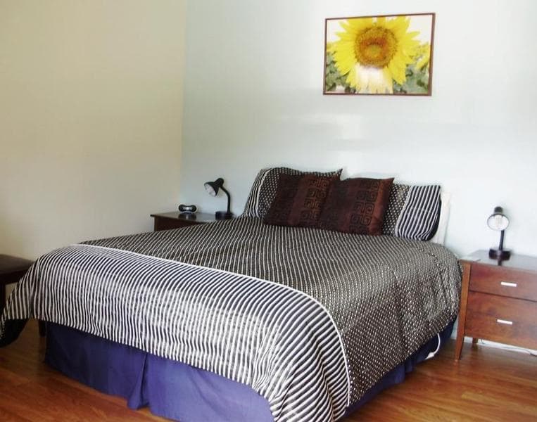Terraced Chalets (Adults Only) 5