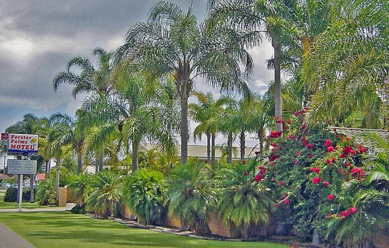 Forster Palms Motel photo 1