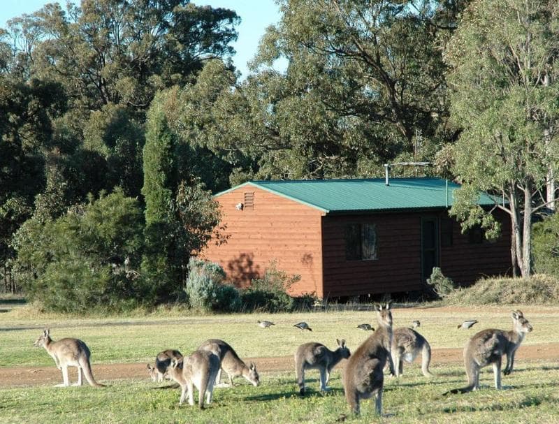 Hunter Hideaway Cottages 3