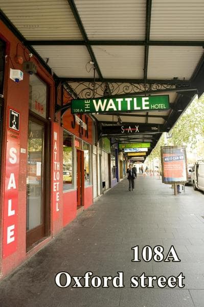 Sydney Wattle 3