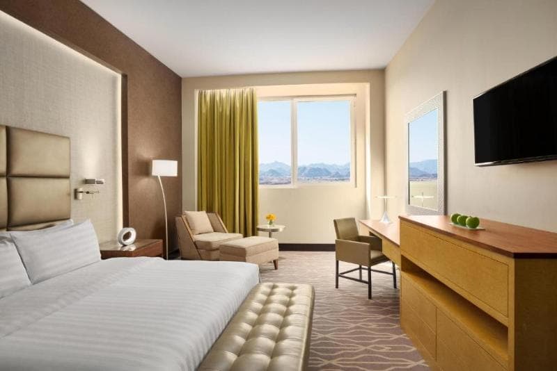Millennium Hotel Hail 2