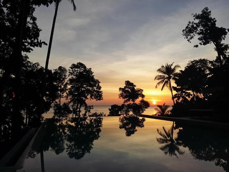 Nest Sense Resort 3