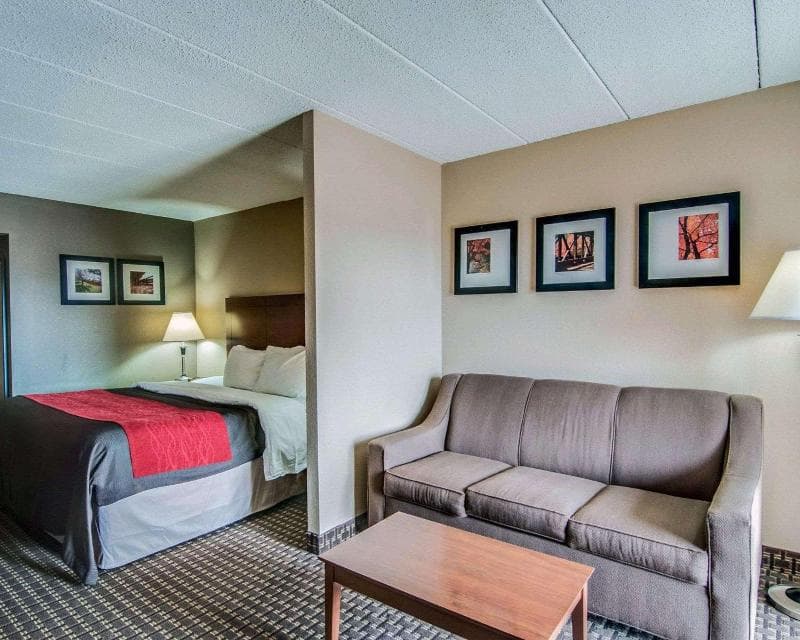 Comfort Inn & Suites 4