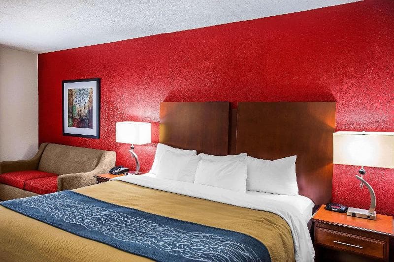 Comfort Inn 5
