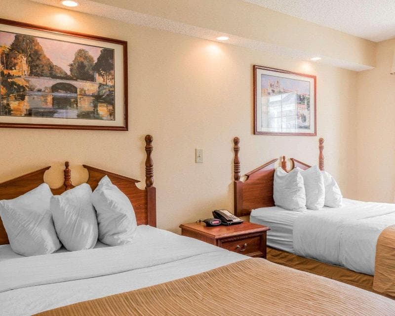 Rodeway Inn Sylacauga Hwy 280 4