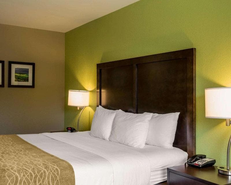 Comfort Inn Sylva - Cullowhee 5