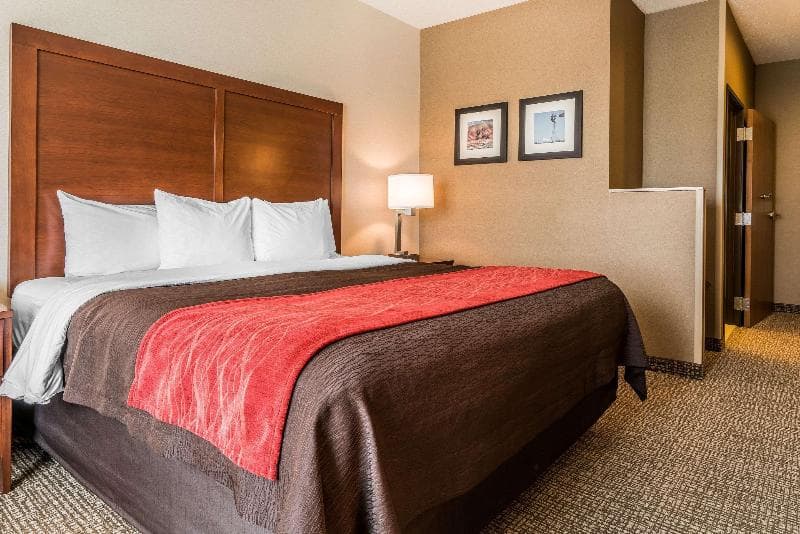 Comfort Inn & Suites 4