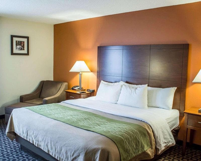 Comfort Inn Vander 4