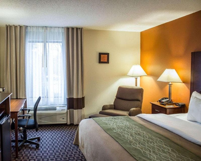 Comfort Inn Vander 3