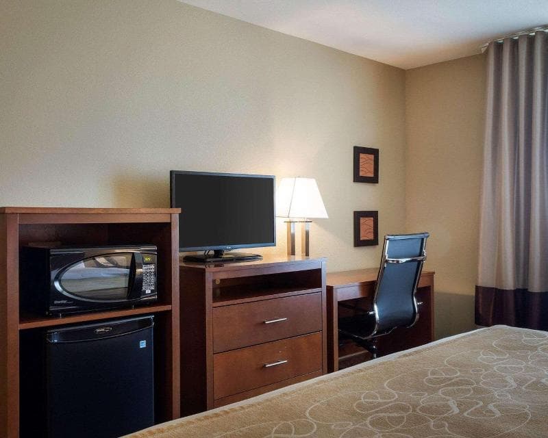 Comfort Inn And Suites North 3