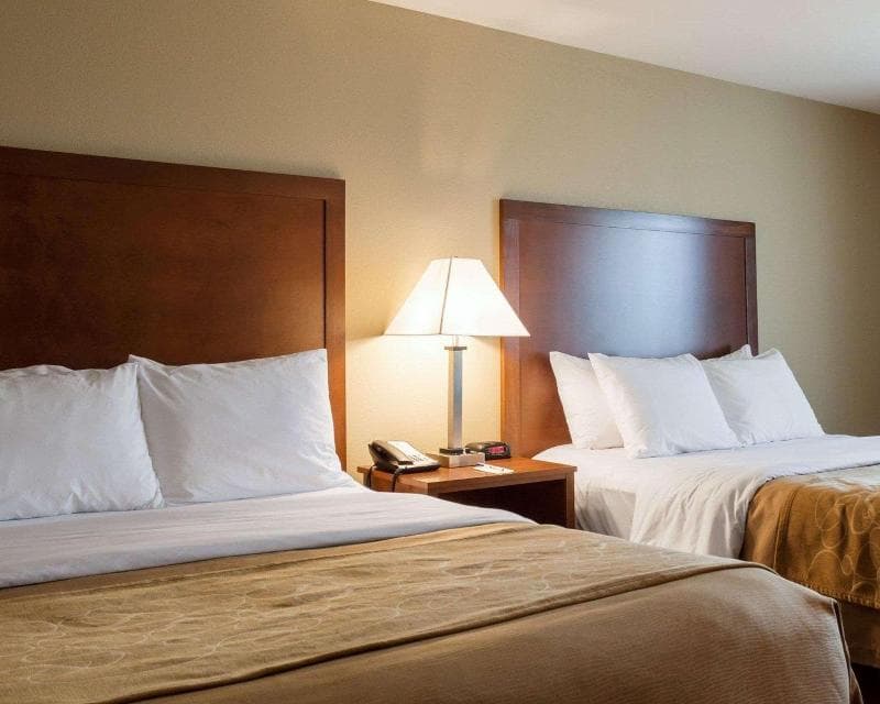Comfort Inn And Suites North 4