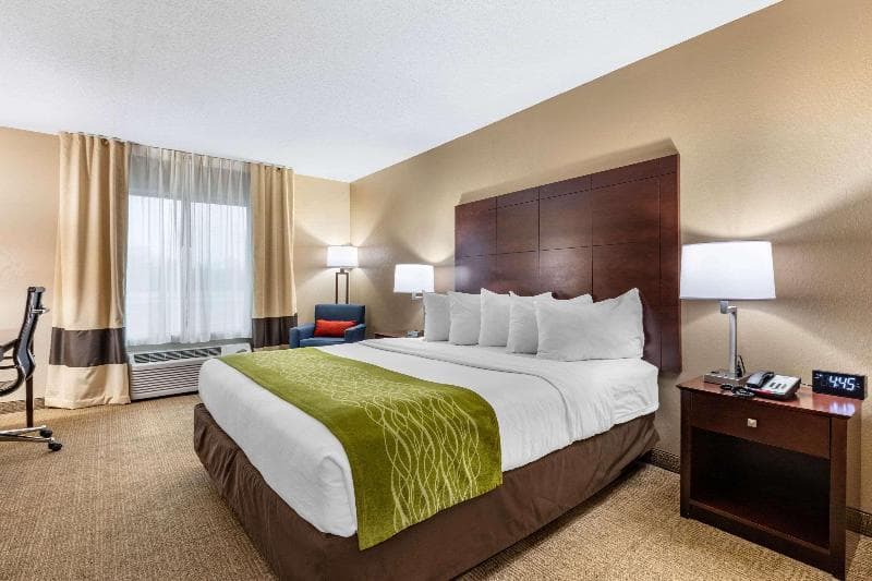 Comfort Inn Us Hwy 80 4