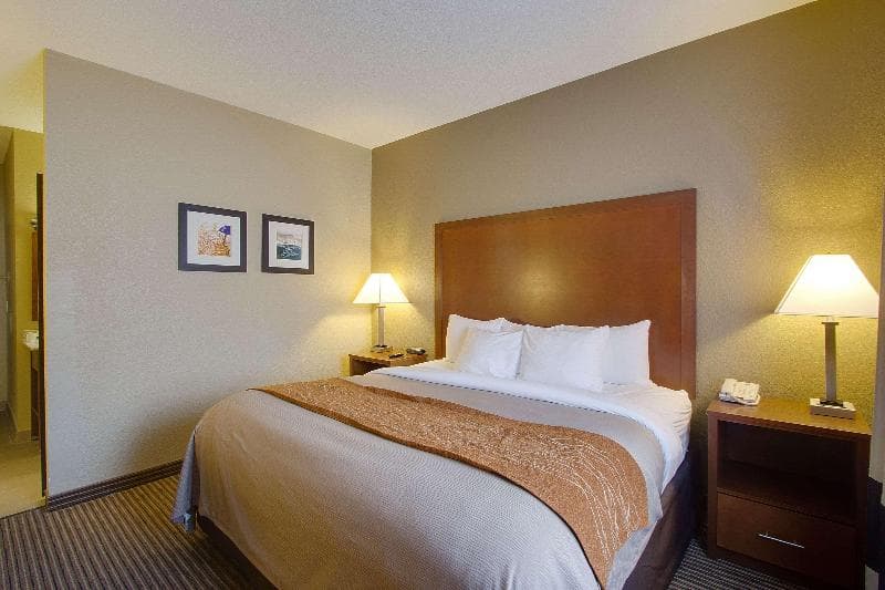 Comfort Inn & Suites photo 1